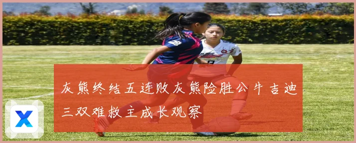 灰熊终结五连败灰熊险胜公牛吉迪三双难救主成长观察