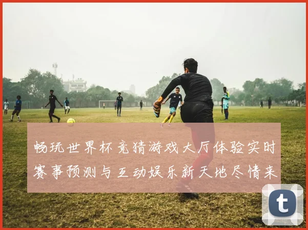 畅玩世界杯竞猜游戏大厅体验实时赛事预测与互动娱乐新天地尽情来数据研判