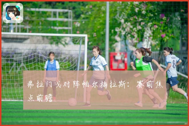 弗拉门戈对阵帕尔梅拉斯：赛前焦点前瞻