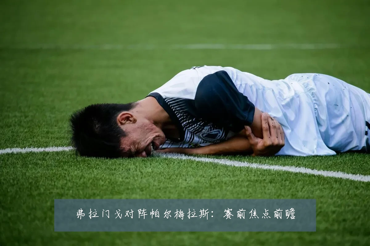 弗拉门戈对阵帕尔梅拉斯：赛前焦点前瞻